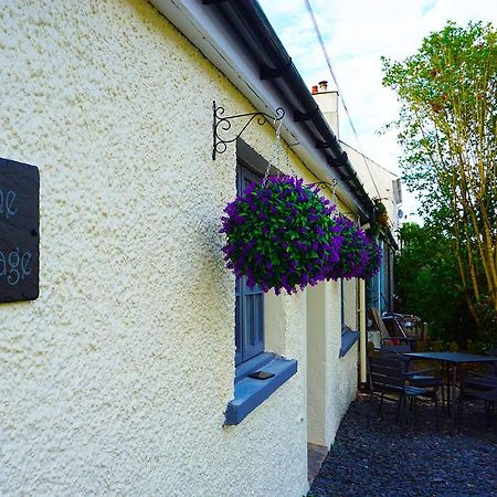 Staycation At Pine Cottage, A Newly Refurbished Holiday Cottage Goodwick Dış mekan fotoğraf